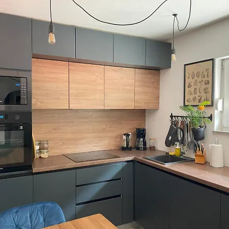 B&d * ノヴィ・ヴィノドロスキー