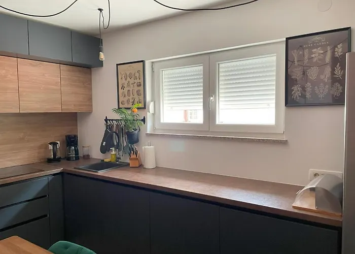 B&d * 노비비노돌스키