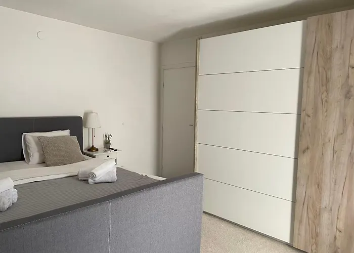 B&d 노비비노돌스키